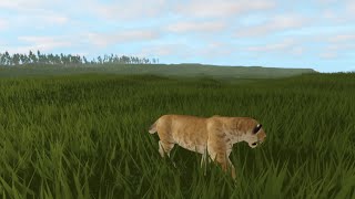 Smilodon In Grasslands  Cenozoic Survival [upl. by Raquela653]