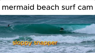 snapper with mermaid beach surf cam [upl. by Sayette]