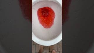 Toilet flushing red dye [upl. by Ylrehc823]