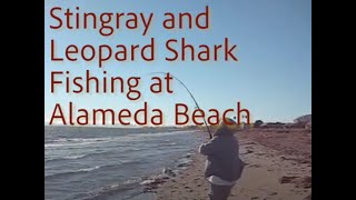 Bay Area Fishing Alameda Beach Fishing [upl. by Vitkun641]