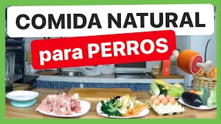 COMIDA para PERROS 🍖 FÁCIL NATURAL y ECONÓMICA ✅ ► DIETA BARF [upl. by Anastassia]