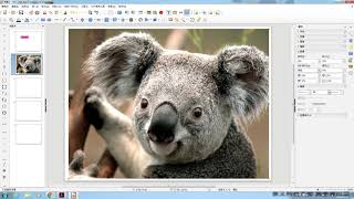 LibreOfficeImpress3 文字及圖片 [upl. by Taddeusz]