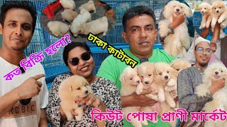 Katabon Animal market in Bangladesh  German shepherd dog price  Lhasa Abso Dog price  Spitz puppy [upl. by Vernon]