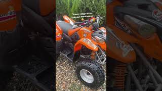 automobile rapter protaper raptar offroad dirtbike motocross sorts [upl. by Schaeffer]