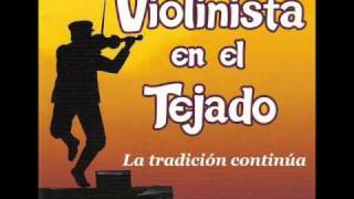 ViolinistaenelTejadoMx 10 ¿Tú me amas [upl. by Eceinal]