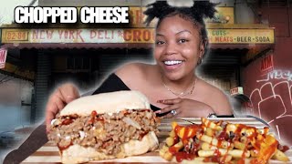 HOMEMADE CHOPPED CHEESE WCHOPPED CHEESE FRIES MUKBANG [upl. by Woothen980]