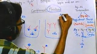 Complement fixation test [upl. by Ahsinehs]