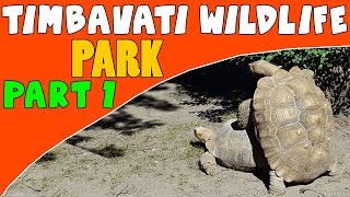 Timbavati Wildlife Park  Wisconsin Dells Part 1 [upl. by Arihk83]