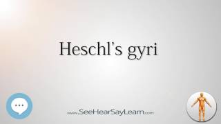 Heschls gyri Anatomy Named After People 🔊 [upl. by Cassie]