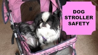 Dog Stroller Safety  How to Secure a Dog in a Stroller [upl. by Otrebide571]