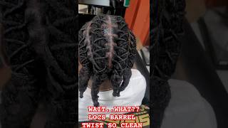 WAITWHATLOCS BARREL TWIST BY THE BEST LOCTICIAN locmethod braids hair boston hairstyles best [upl. by Belshin]