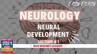 Neural Development  Neurology  1  First Aid USMLE Step 1 [upl. by Male]