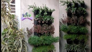 Make a vertical garden and decorate your walls with plants [upl. by Remsen]