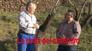 LA PODA DE EL ALMENDRO DE FORMACIÓN Y REJUVENECIMIENTO [upl. by Paluas]