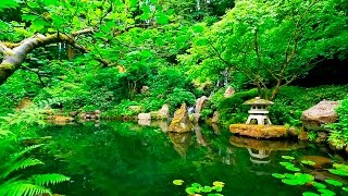 Deep Sleep Music and Nature Sounds  Zen Garden HD Relaxing [upl. by Corabel]