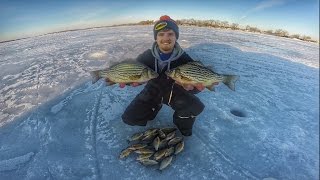 East Lake Okoboji Yellow Bass Fishing [upl. by Nohs]