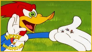 Woody Woodpecker Show  Party Animal  Full Episode  Videos For Kids [upl. by Einnok]