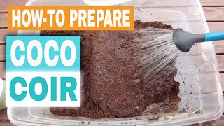 How to prepare Coco coir as potting mix [upl. by Yleoj]