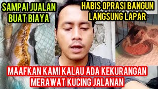 KABAR BAIK KUCING BEJO ALHAMDULILLAH OPRASINYA LANCAR DINTANGANI DOKTER AHLI [upl. by Asiaj]