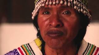 Etnikas clinic of integrative Medicine  Ayahuasca Shaman Jaime [upl. by Tahp755]