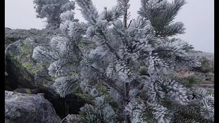 ¿Siberia No es el paraje de Soria que te dejará helado [upl. by Rimma]