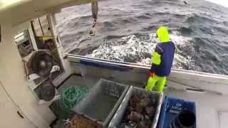 GoPro Lobster Fishing HD [upl. by Renado]