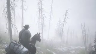 RDR2 After ending  19 [upl. by Dadirac]