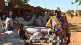 Verwoestijning in Mali  Video [upl. by Langley]