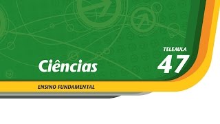 47  Conservando os alimentos  Ciências  Ens Fund  Telecurso [upl. by Aidan]