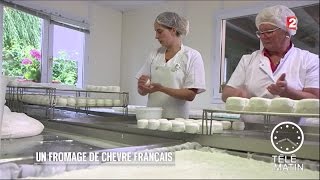 Conso  Crottin de Chavignol  Un savoirfaire 100 français [upl. by Ecylla]