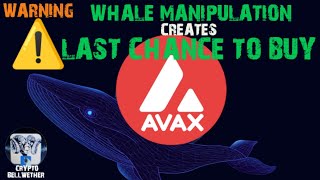 Last Warning Last CHANCE  Avalanche AVAX Whale ACTION EXPOSED [upl. by Mayeda]