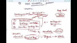 Classification of Bones  sesamoid bone  Wolf law General anatomy Part 3 medicalstudent [upl. by Aihseuqal127]