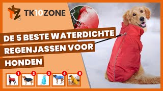 De 5 beste waterdichte regenjassen voor honden [upl. by Asilegna705]