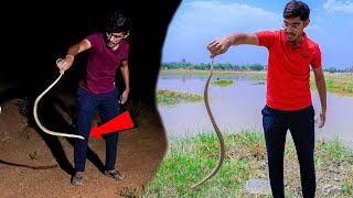 Dangerous Snake Rescue By Crazy XYZ  मुझे साँप ने काट लिया [upl. by Pantheas]