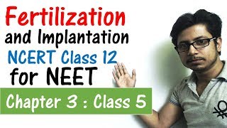 Fertilization and implantation in human class 12  Human reproduction  CBSE biology NEET [upl. by Orel668]