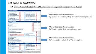 DELTA  Déclaration de la TVA CA3 [upl. by Celesta]