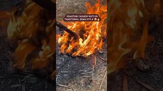 Roasting cashew nuts in Traditional Goan Style 😍🔥 traditional cooking goa [upl. by Johanan122]