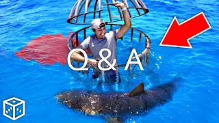 Q amp A Can Sharks Really Smell Human Blood With Mark Rober [upl. by Brucie478]