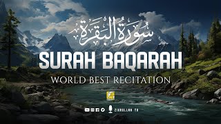 Surah Al Baqarah Full سورة البقره HEART TOUCHING RECITATION  Zikrullah TV [upl. by Durwyn]