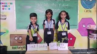 EVS Activity  Seed to seedling by 2nd class at Vidyodaya International School VIS Manawar [upl. by Ariaek]