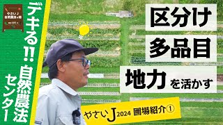 地力を活かして多品目栽培 区分けと品種で圃場紹介育苗概要【自然農法センターの畑2024① by やさいJ】 [upl. by Valencia]