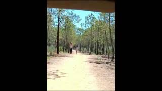 CYCLING THROUGH ALGARVE  Day 2 Trilho de Monte Gordo [upl. by Sirromed]