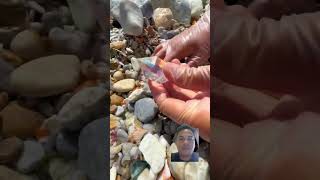 crystals seatreasures satisfying seapearl gems seasnail gemstone naturalgems minerals [upl. by Aicila]