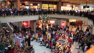 Flash Mob the best of Christmas 2011  Flash Mob Best Of [upl. by Lindeberg]