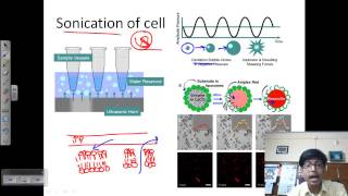 Sonication process [upl. by Carolann7]