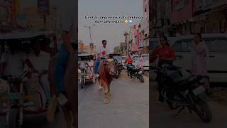 Mahra nasha yo hee hai …reaction shorts viral public [upl. by Anwadal874]