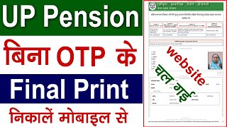 SSPY final print kaise nikale  UP pension final print problem  pension ka final print kaise nikale [upl. by Ker578]