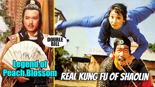 Wu Tang Collection  Real Kung Fu of Shaolin  Legend of Peach Blossom [upl. by Ozan370]