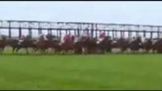 2013 Royal Ascot Royal Hunt Cup 425 [upl. by Madison692]