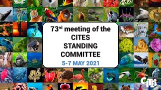 73rd Meeting of the CITES Standing Committee Session 1 May 5 [upl. by Chickie]